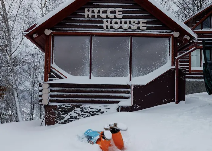 Hygge House 公寓 维什卡