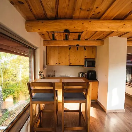 Hygge House Apartment Vyshka